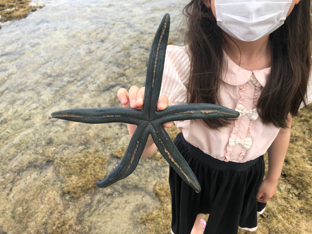 ルネッサンスリゾートオキナワ　　宿泊記　アクティビティ　体験　子連れ　マリブビーチ　磯遊び