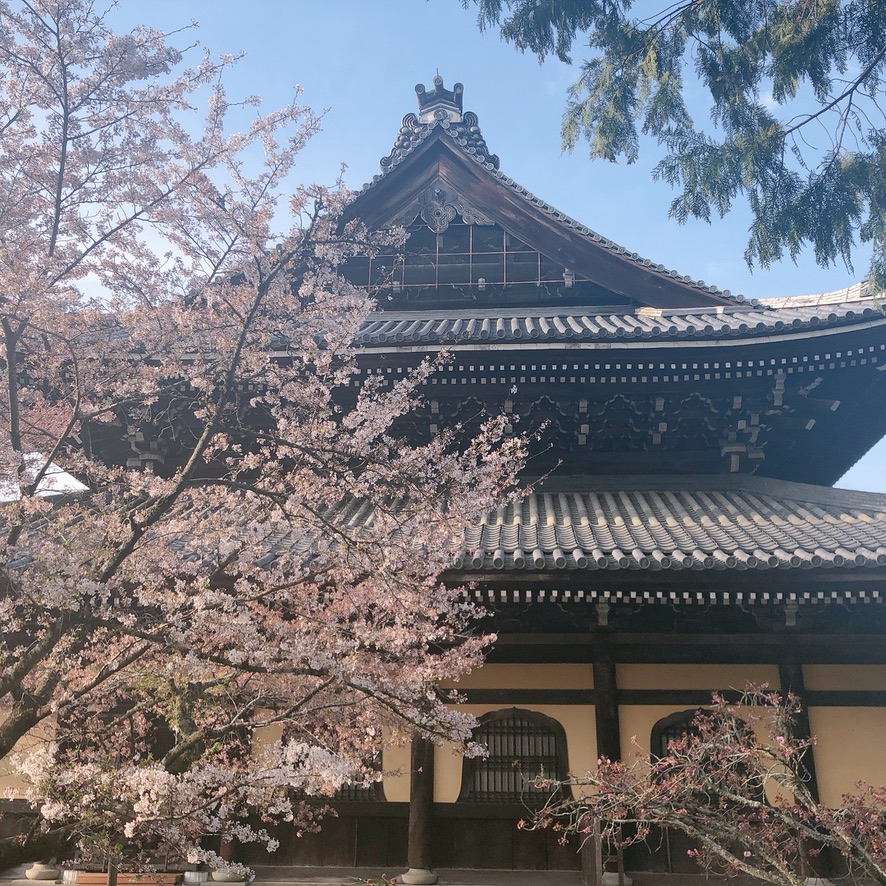 ウェスティン都ホテル京都　プラチナ　ブログ　子連れ　アップグレード　ジュニアスイート　アクセス　無料バス