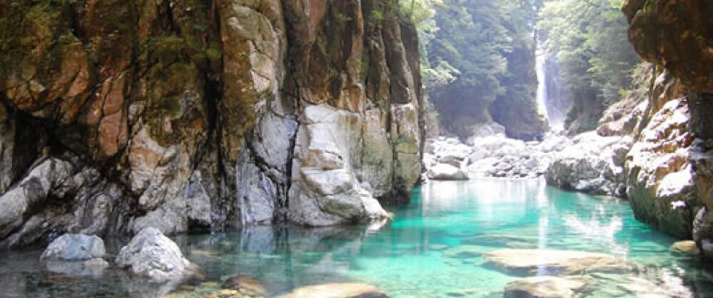 28916380 F01F 443B B866 0D8495EFCFD1