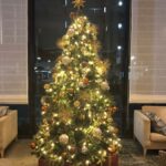 【コートヤード・バイ・マリオット大阪本町】子連れ宿泊記☆2021年最後の宿泊は甘辛MIXな思い出になりました(T . T)