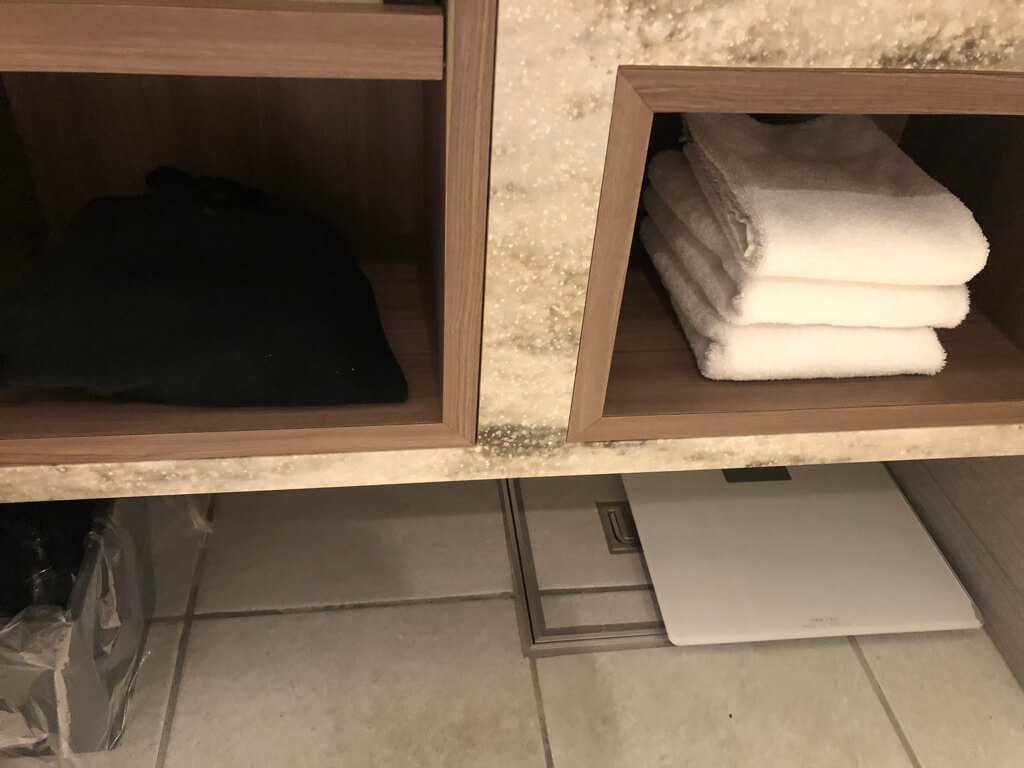 琵琶湖マリオット子連れ宿泊記☆久々の宿泊はちょっと様変わり!?滋賀の旅行支援しが周遊クーポンが激アツ♪ 35 琵琶湖マリオット 宿泊記 ブログ 子連れ 体育館 朝食 プール ラウンジ マリオットボンヴォイアメックス 紹介 プラチナ特典 ゴールド特典 子供添い寝無料