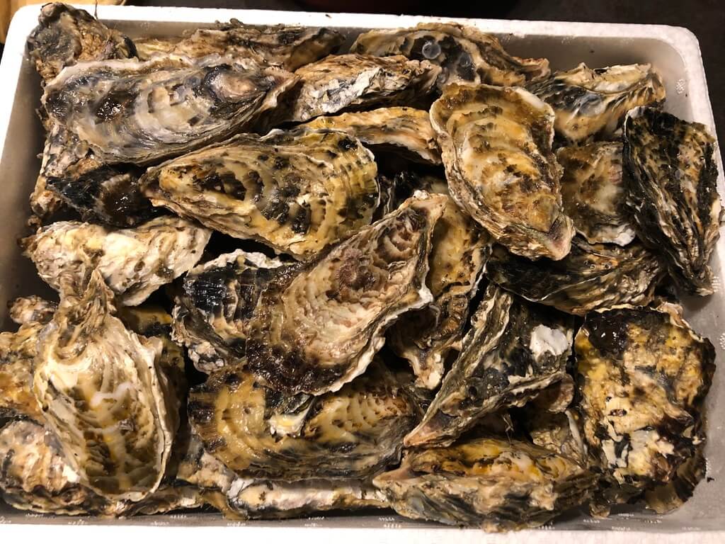 フェアフィールド三重おおだい　子連れ　宿泊記　　牡蠣詰め放題