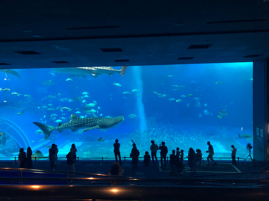 ルネッサンスリゾートオキナワ　　宿泊記　アクティビティ　体験　子連れ　美ら海水族館