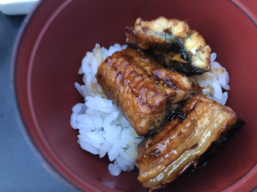 杉乃井ホテル　ブログ　宿泊記　朝食　夕食　バイキング　プール　温泉　アクアガーデン　コインランドリー　口コミ　大浴場　格安　激安　本館