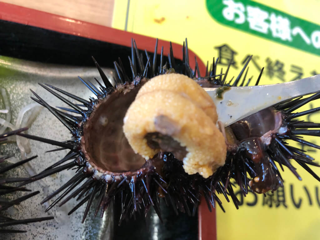 北海道グルメレビュー☆グーグル評価4以上のお店をぶった斬り!本当に美味しいのはこのお店 13 北海道 グルメ レビュー グーグル評価 高い 美味しい 海鮮 スイーツ お土産