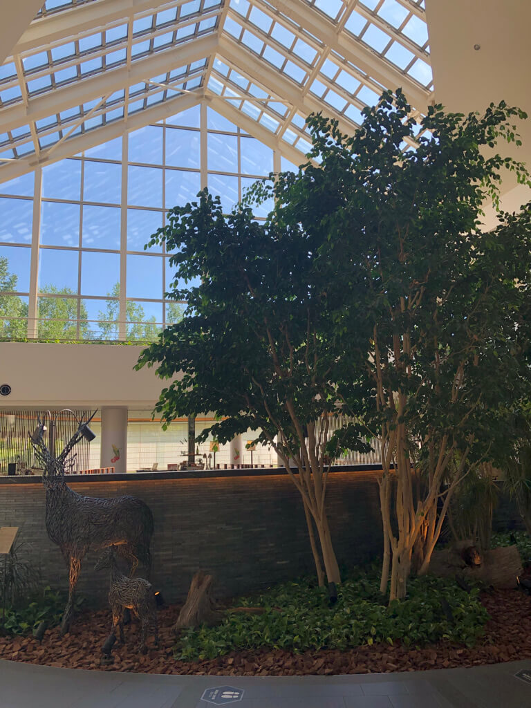 ウェスティンルスツ　宿泊記　ブログ　子連れ添い寝無料　朝食　ラウンジ　アクティビティ　花火　spgアメックス紹介　プラチナ特典　温泉　コインランドリー