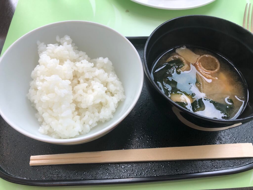 ウェスティン大阪　宿泊記　朝食　エグゼクティブラウンジ　アクセス　行き方　エグゼクティブキング　spgamex　プラチナ　特典