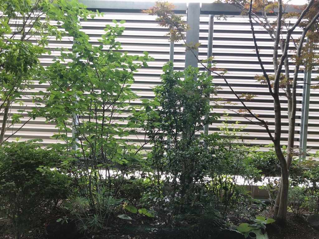 シェラトン鹿児島宿泊記ブログ☆ホテル内で温泉満喫♪プール、ジムはある?などの施設やアメニティを口コミ紹介 55 シェラトン鹿児島 プール ジム 温泉 部屋 アメニティ 口コミ ブログ 宿泊記 アクセス