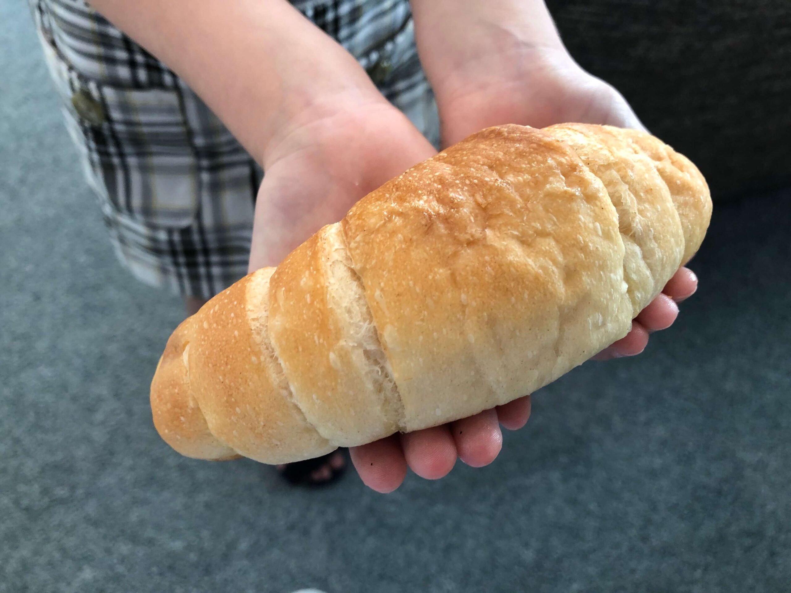 北海道　おすすめ　グルメ　スイーツ　海鮮　ラーメン