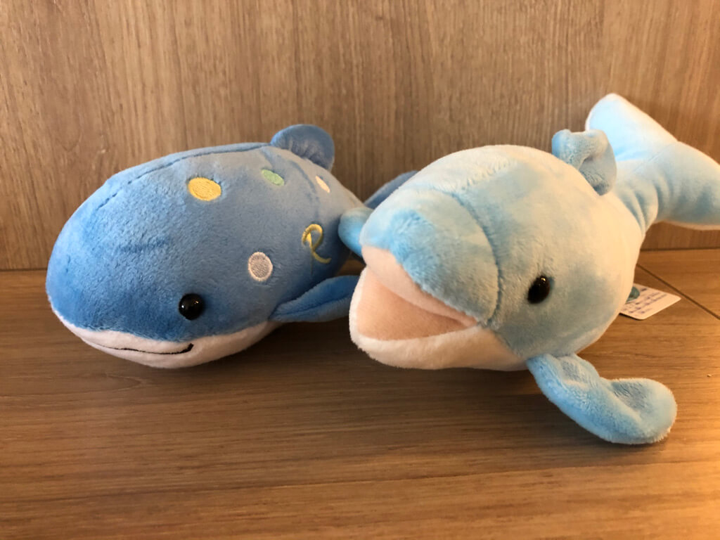 ルネッサンスリゾートオキナワ　クラブサビー　宿泊記　アクティビティ　体験　子連れ