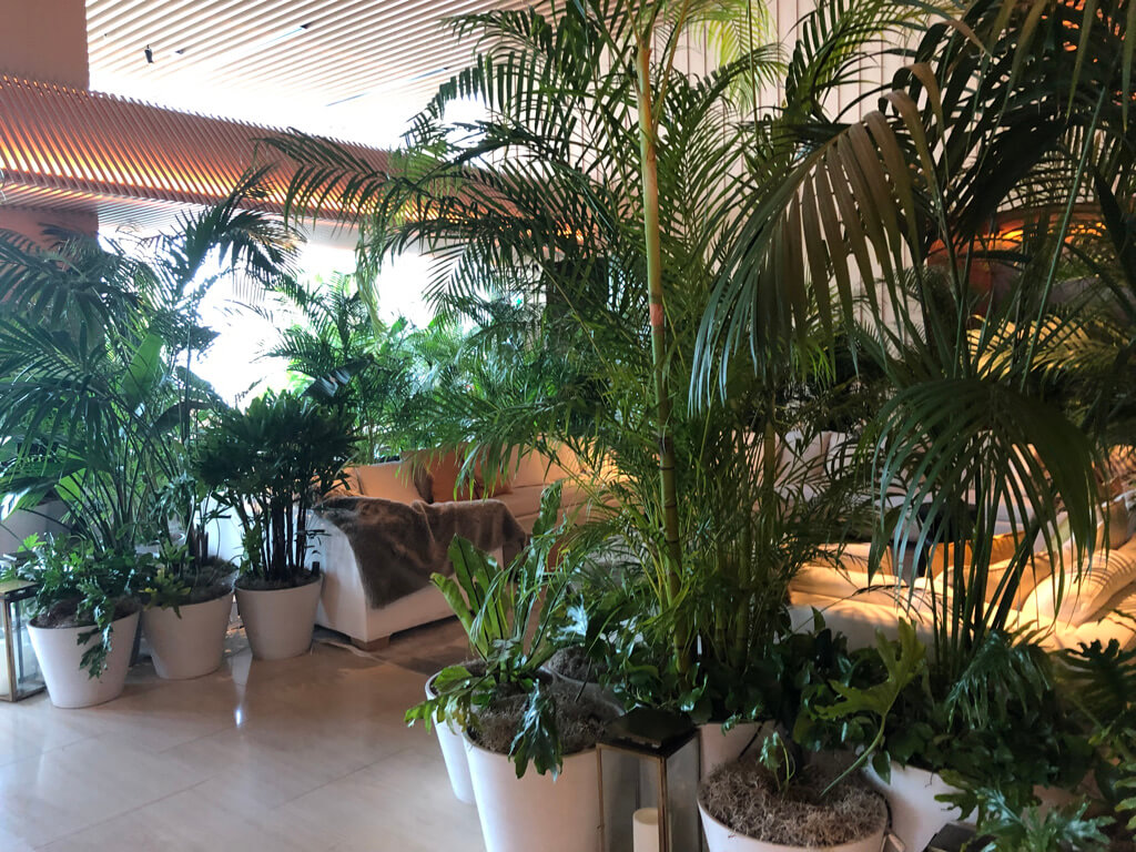 東京エディション虎ノ門　スイート　宿泊記　ブログ　アクセス　朝食　プール　ジム　マリオット特典　マリオットボンヴォイアメックス　紹介