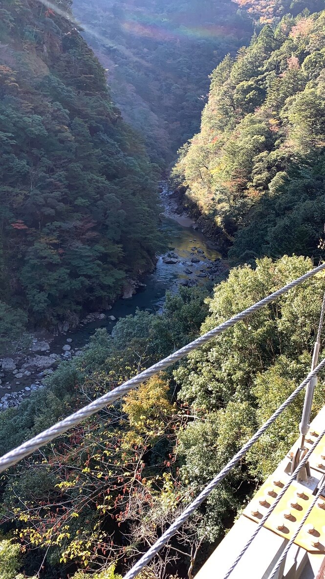 フェアフィールド三重おおだい　子連れ　宿泊記　大谷杉　登山　子供