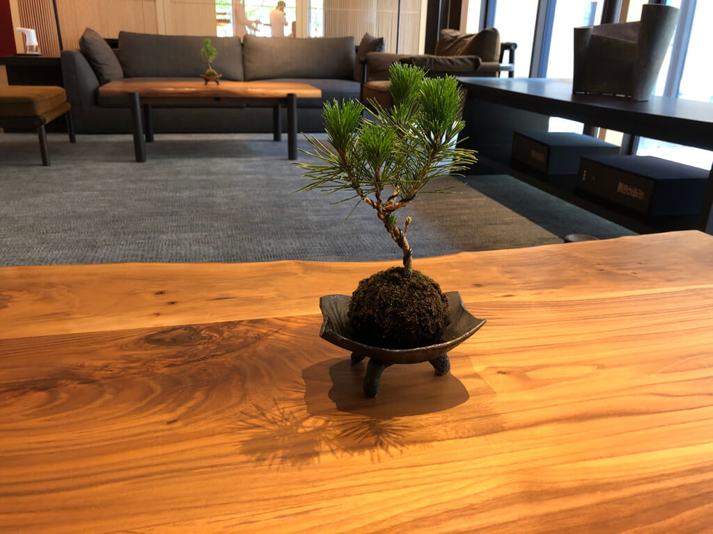 リッツカールトン日光　宿泊記　温泉　朝食　アクティビティ　エクスペリエンス　行き方　アクセス　プラチナ特典　SPGアメックス紹介