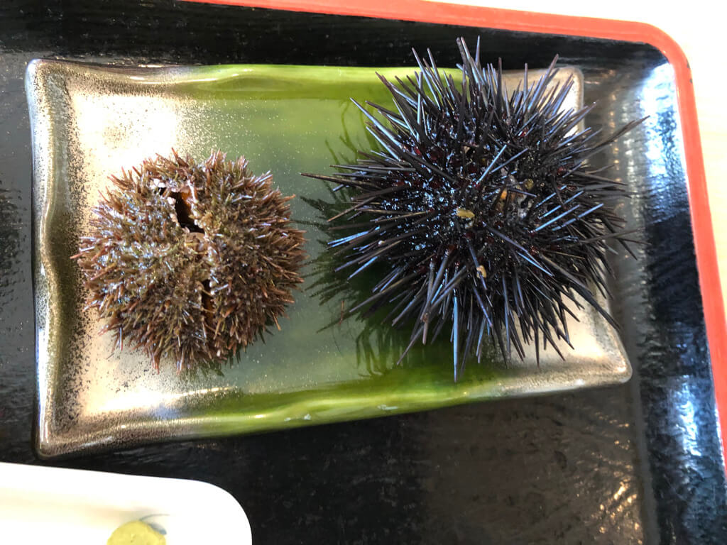 北海道グルメレビュー☆グーグル評価4以上のお店をぶった斬り!本当に美味しいのはこのお店 11 北海道 グルメ レビュー グーグル評価 高い 美味しい 海鮮 スイーツ お土産
