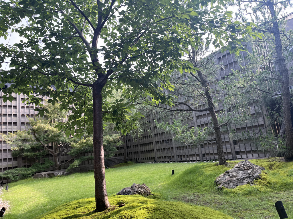 アズミ瀬戸田　AzumiSetoda　宿泊記　ブログ　アメニティ　アクセス　食事　朝食　