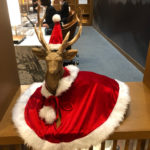 JWマリオット・ホテル奈良宿泊記☆おもてなしをジンジン感じるラウンジが超豪華なホテル!