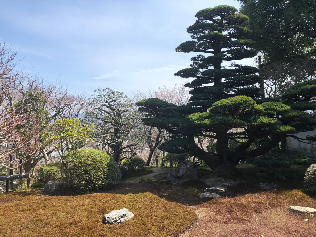 願い事が叶うと有名なパワースポット鈴虫寺へ行ってきました〜!願い事は叶うのかを検証 9 鈴虫寺 願い事 叶う 叶わない お守り アクセス 説法 行き方