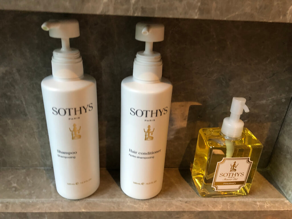 ニセコ東山ビレッジリッツカールトンリザーブ　子連れ　ブログ　宿泊記　プラチナ特典　朝食　アクティビティ　温泉　プール　マリオットボンヴォイアメックスプレミアム　紹介