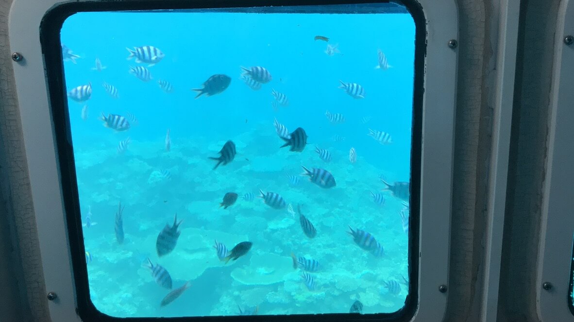 ルネッサンスリゾートオキナワ　クラブサビー　宿泊記　アクティビティ　体験　子連れ