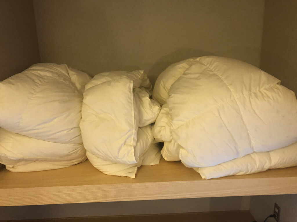 別府アマネリゾート ガハマ子連れ宿泊記☆シーサイドメゾネットはなぜ安い?泊まってみてわかった謎とは 55 別府 アマネリゾート ガハマ ガハマテラス 子連れ 宿泊記 シーサイドメゾネット 温泉 朝食