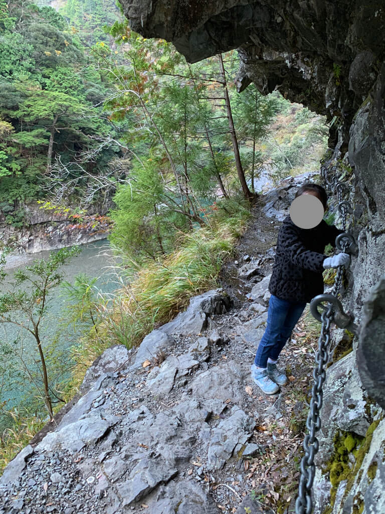 フェアフィールド三重おおだい　子連れ　宿泊記　大谷杉　登山　子供