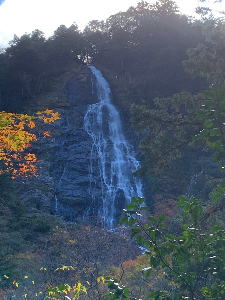 フェアフィールド三重おおだい　子連れ　宿泊記　大谷杉　登山　子供