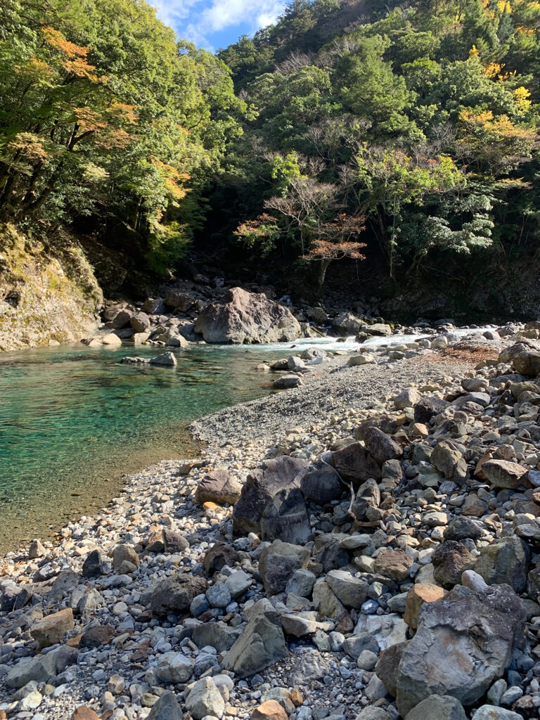 フェアフィールド三重おおだい　子連れ　宿泊記　大谷杉　登山　子供