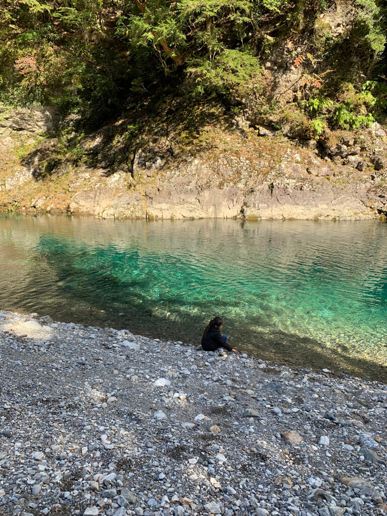 フェアフィールド三重おおだい　子連れ　宿泊記　大谷杉　登山　子供