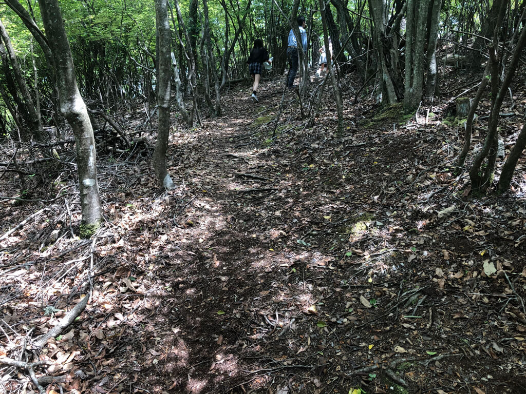 ザ・プリンス京都宝ヶ池　子連れ　宿泊記　プラチナ特典　アップグレード　朝食　ラウンジ　SPGアメックス紹介