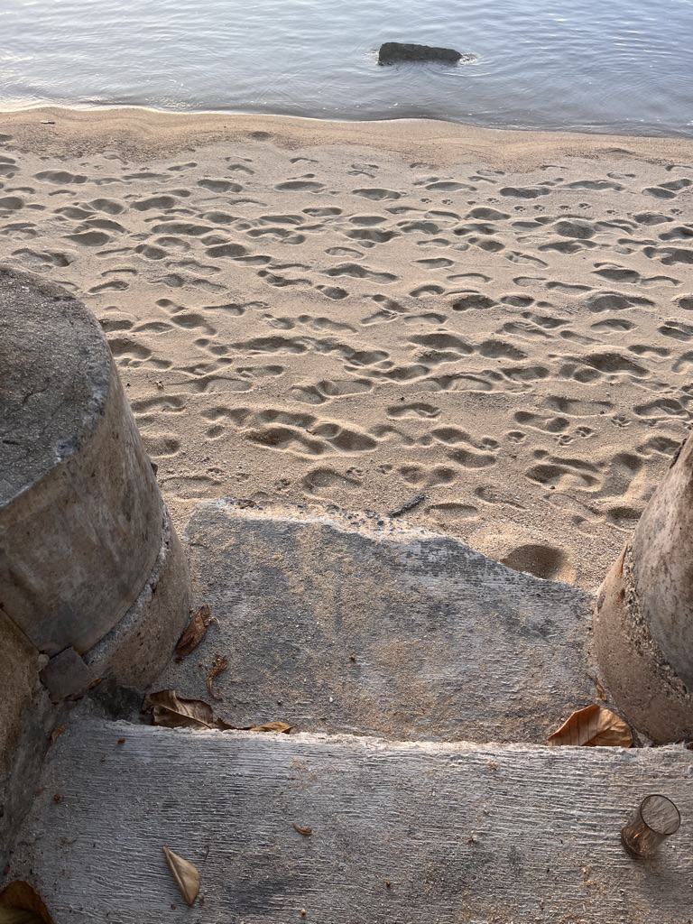 Wコーサムイ　宿泊記