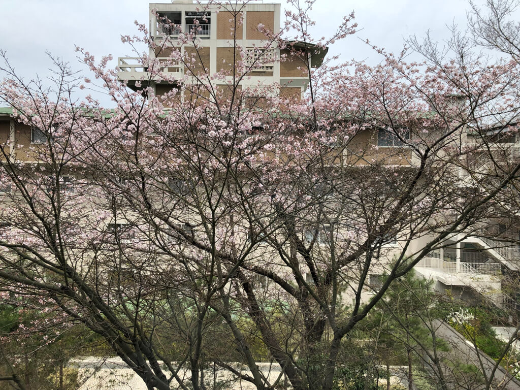 ウェスティン都ホテル京都　子連れ　宿泊記　ブログ　ラウンジ　朝食　温泉　プール　ジム　プラチナ特典　子供添い寝　アクセス　マリオットボンヴォイアメックス　紹介
