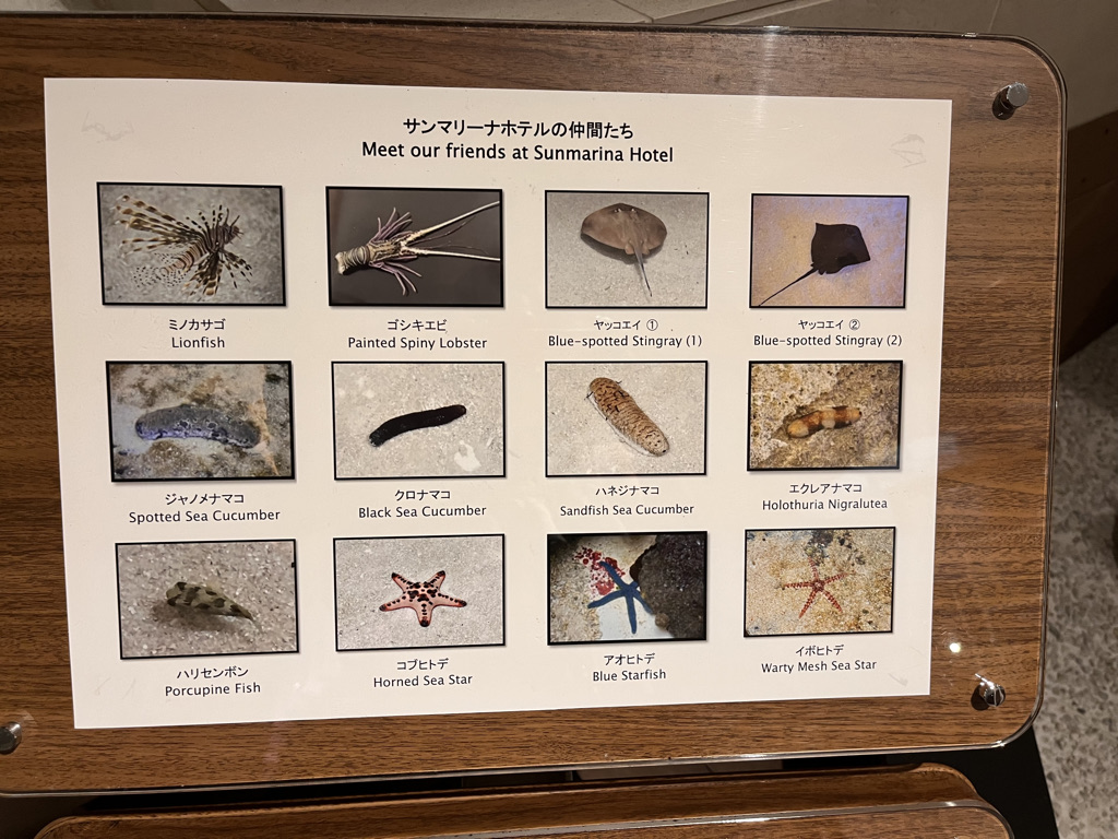 シェラトン沖縄サンマリーナリゾートお部屋・アクティビティ・プール編★沖縄が本気出したら抗えない♡夏を存分に楽しめるホテル 8 シェラトン沖縄サンマリーナリゾート 部屋 アクティビティ プール クチコミ プラチナ特典