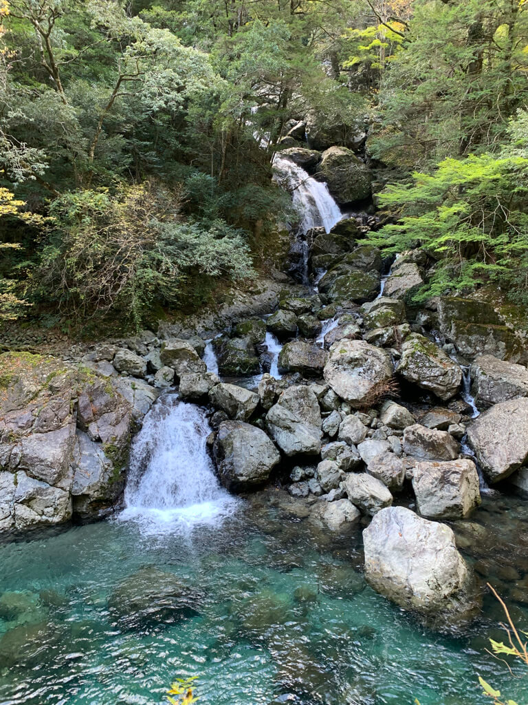 フェアフィールド三重おおだい　子連れ　宿泊記　大谷杉　登山　子供