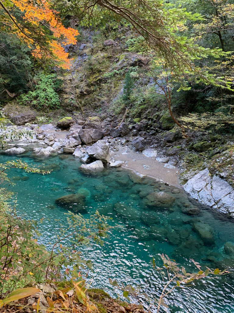 フェアフィールド三重おおだい　子連れ　宿泊記　大谷杉　登山　子供