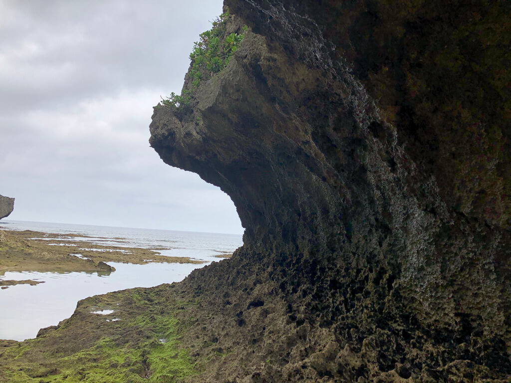 ルネッサンスリゾートオキナワ　　宿泊記　アクティビティ　体験　子連れ　マリブビーチ　磯遊び