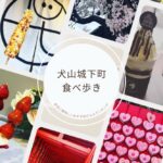 犬山城下町で食べ歩き☆可愛いさとインスタ映えだけじゃないホントに美味しいおすすめグルメはココだよランキング
