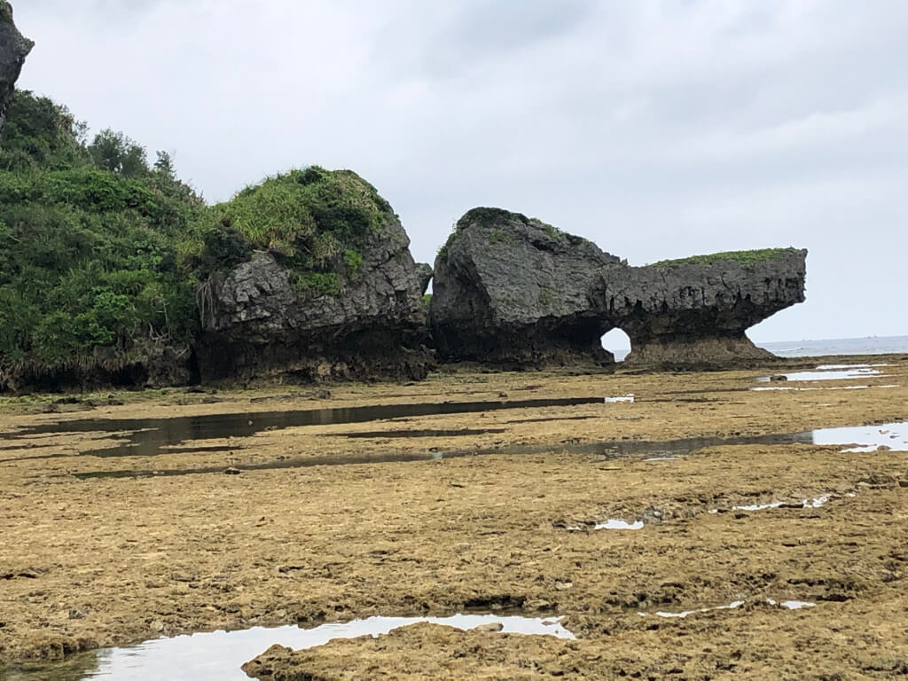 ルネッサンスリゾートオキナワ　　宿泊記　アクティビティ　体験　子連れ　マリブビーチ　磯遊び