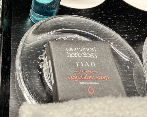 TIAD ティアド　宿泊記　プール　ラウンジ　部屋　ブログ　プラチナ特典