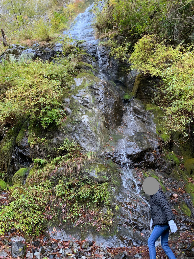 フェアフィールド三重おおだい　子連れ　宿泊記　大谷杉　登山　子供