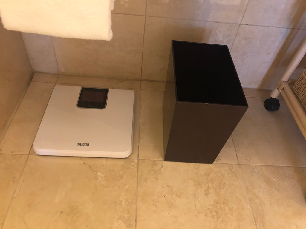 名古屋マリオットアソシアホテルデラックス　スイート　宿泊記　朝食　コンシェルジュ　ラウンジ　　フィットネスジム　プール　spgアメックス　紹介　プラチナ特典