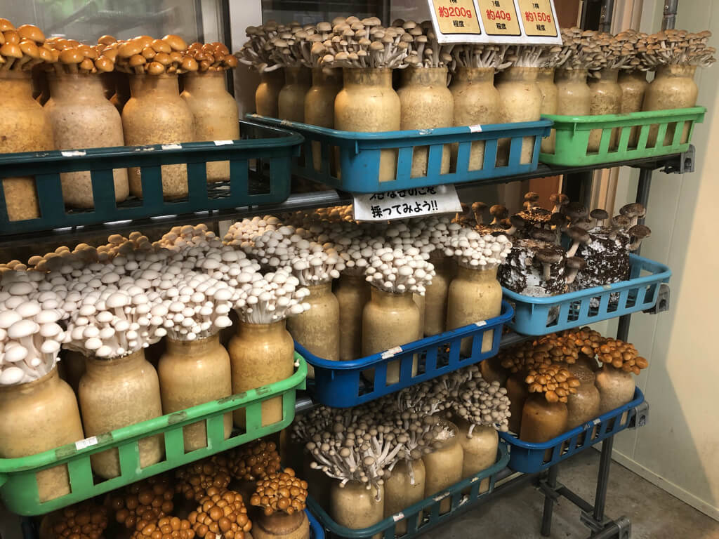 北海道グルメレビュー☆海鮮、スイーツ、ラーメンなどなど・・・満足度が高かったのはこのお店! 70 北海道 おすすめ グルメ スイーツ 海鮮 ラーメン