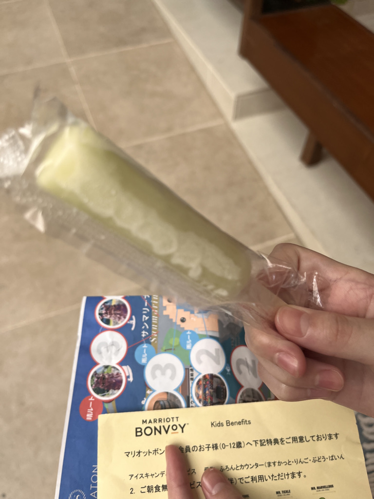 シェラトン沖縄サンマリーナリゾートお部屋・アクティビティ・プール編★沖縄が本気出したら抗えない♡夏を存分に楽しめるホテル 12 シェラトン沖縄サンマリーナリゾート 部屋 アクティビティ プール クチコミ プラチナ特典