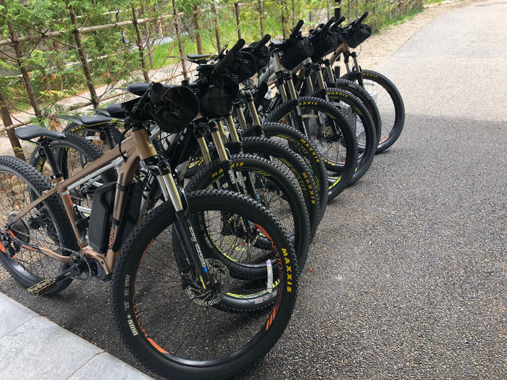 リッツカールトン日光　宿泊記　温泉　朝食　アクティビティ　エクスペリエンス　行き方　アクセス　プラチナ特典　SPGアメックス紹介