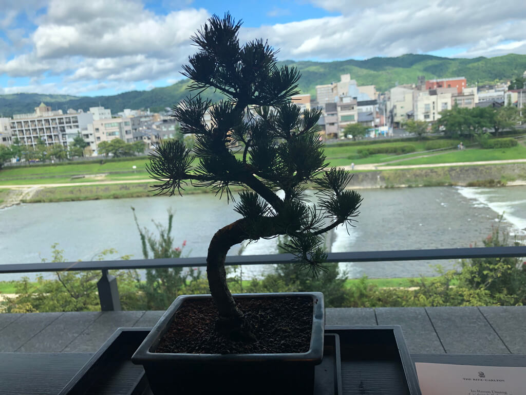 リッツカールトン京都子連れ宿泊記☆どこを取ってもアートな空間、朝食も最高!良さを再認識した宿泊となりました♡ 30 リッツカールトン京都 spgamex紹介 プラチナ会員 特典 朝食 プール アクティビティ 子供添い寝 アメニティ