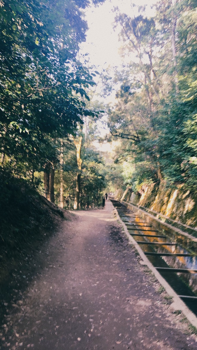 ウェスティン都ホテル京都　プラチナ　ブログ　子連れ　アップグレード　ジュニアスイート　アクセス　無料バス