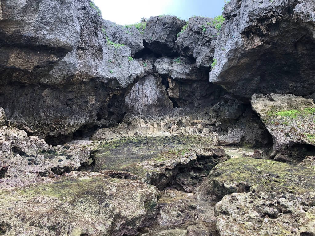 ルネッサンスリゾートオキナワ　　宿泊記　アクティビティ　体験　子連れ　マリブビーチ　磯遊び