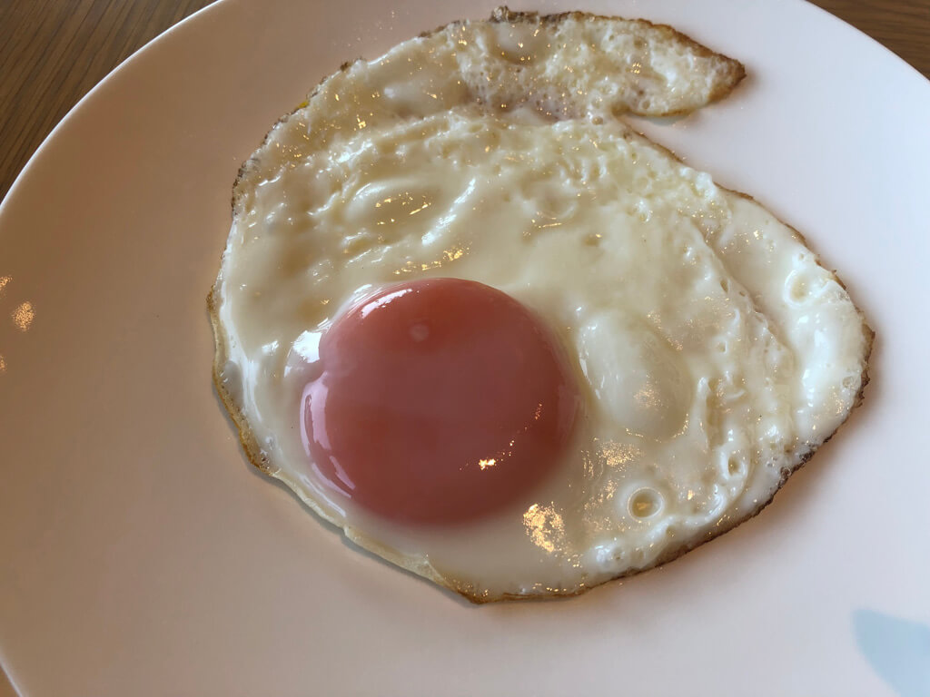 ウェスティン都ホテル京都　宿泊記　ジュニアスイート　子連れ旅　子供添い寝　クラブラウンジ　プール　ジム　SPA　華頂　温泉　spgアメックス紹介　プラチナ特典