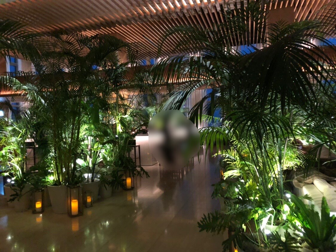 東京エディション虎ノ門　スイート　宿泊記　ブログ　アクセス　朝食　プール　ジム　マリオット特典　マリオットボンヴォイアメックス　紹介