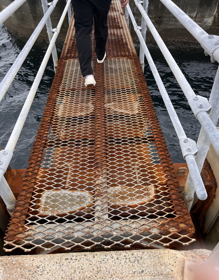 95F27545 5279 4045 8FFD E4E568282D6B 1 105 c 1 e1721183081621