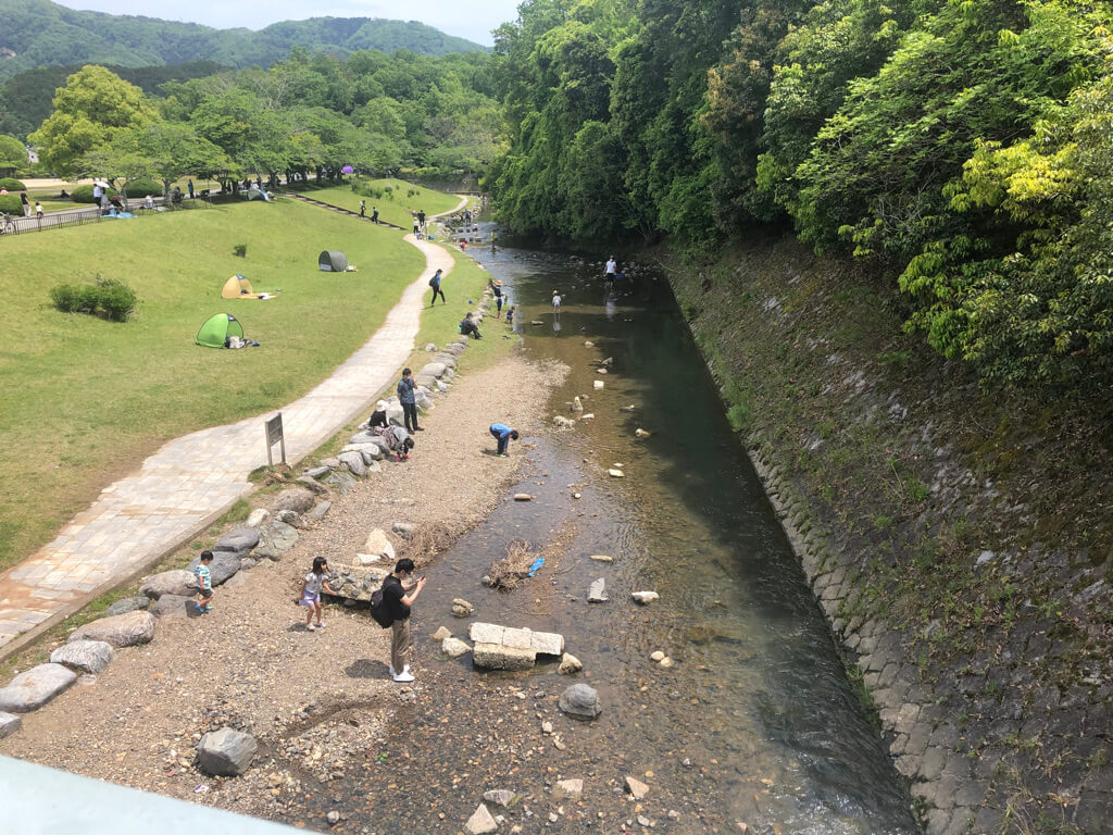 ザ・プリンス京都宝ヶ池　子連れ　宿泊記　プラチナ特典　アップグレード　朝食　ラウンジ　SPGアメックス紹介